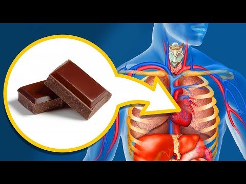 Los efectos de consumir chocolate por la noche: ¿mito o realidad?