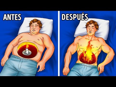 Beneficios de la quema de grasa durante el sueño: una visión en profundidad.