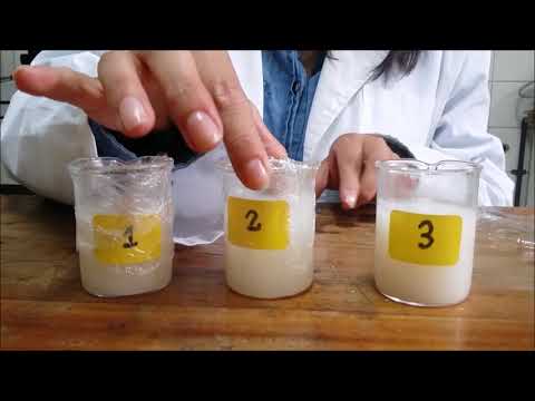 El impacto de la sal en la velocidad de fermentación de la levadura: una exploración científica