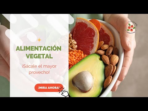 Explorando las opciones veganas en Los Ángeles: Una guía para los amantes de la comida basada en plantas